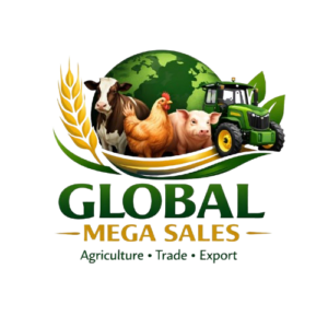 Global Mega Sales Logo