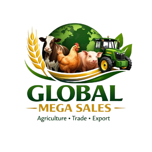 Global Mega Sales Logo