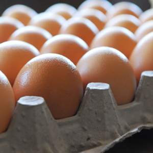 Fresh Farm Eggs