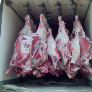 Halal Boneless Buffalo Meat