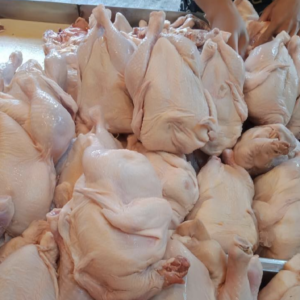 Halal Frozen Chicken