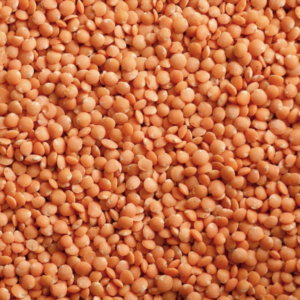 Lentils Supplier & Exporter