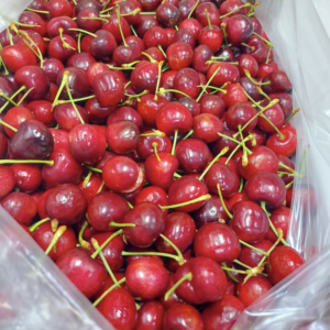 Red Cherry Fruit